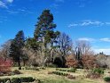 IMG_20200801_142236