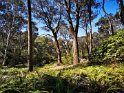 IMG_20201004_130938