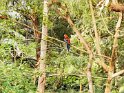 IMG_20201128_182254