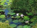 IMG_20200103_111005