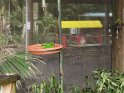 IMG_20200621_102948