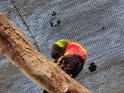 IMG_20200621_103001