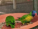 IMG_20200621_103012