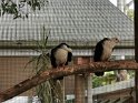 IMG_20200621_103018