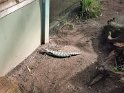IMG_20200621_105242