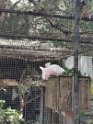 IMG_20200621_113428