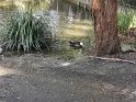 IMG_20200621_113533