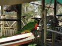 IMG_20200911_113835