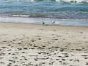 IMG_20200913_151254