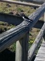 IMG_1358