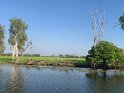 IMG_2384