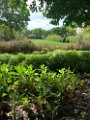 IMG_5100