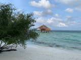 IMG_5228