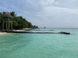IMG_5234