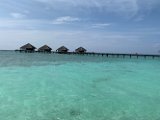 IMG_5235