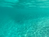 IMG_5248