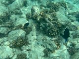 IMG_5251