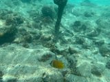 IMG_5252