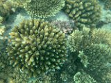 IMG_5257
