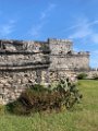 IMG_6337