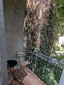 PXL_20250719_145301493.MP