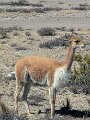 PXL_20251002_140450509
