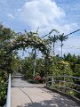 PXL_20250310_030618751.MP