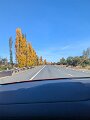 PXL_20260426_024835176.MP