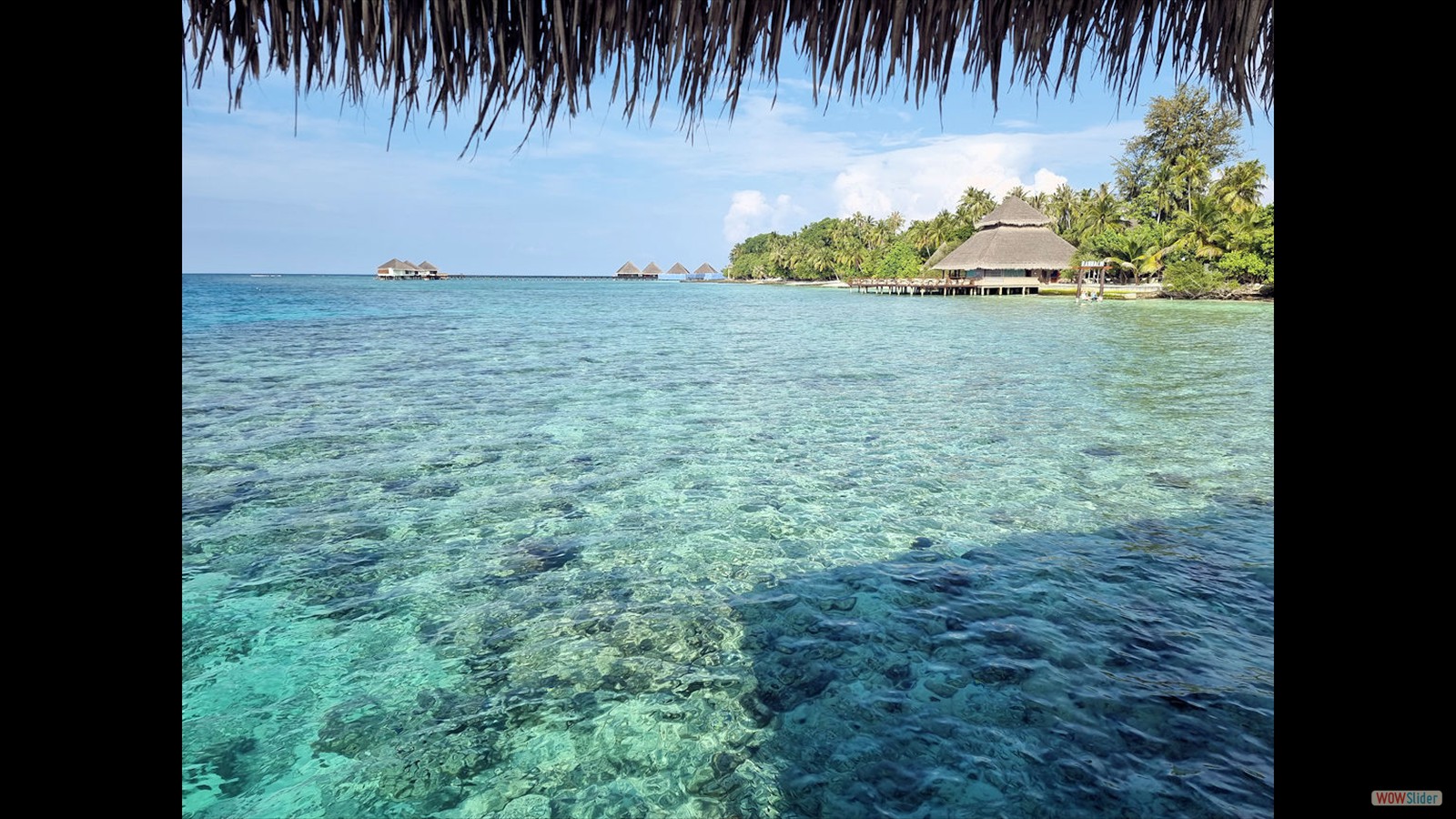 PIC06